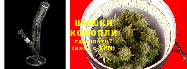 гидропоника Болотное