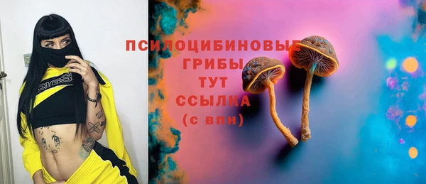гидропоника Болотное