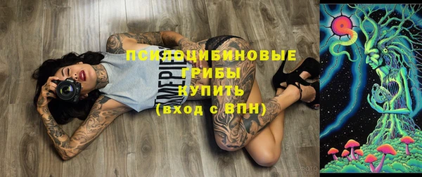 сатива Осташков