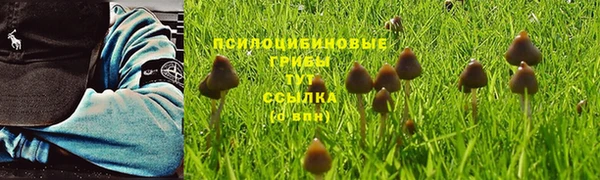 сатива Осташков