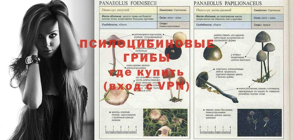 дживик Нягань
