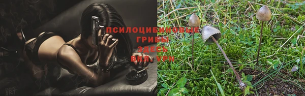 таблы Бутурлиновка