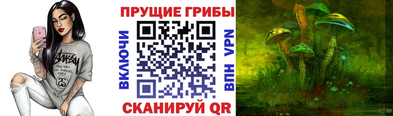 блэк спрут сайт  Невинномысск  Галлюциногенные грибы Magic Shrooms  как найти закладки 