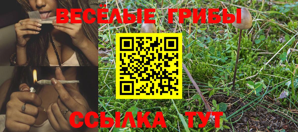 Галлюциногенные грибы Magic Shrooms  Вход с VPN  наркотики  Галлюциногенные грибы Magic Shrooms  Невинномысск 