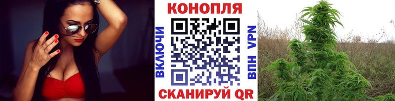 Шишки марихуана марихуана  Невинномысск 